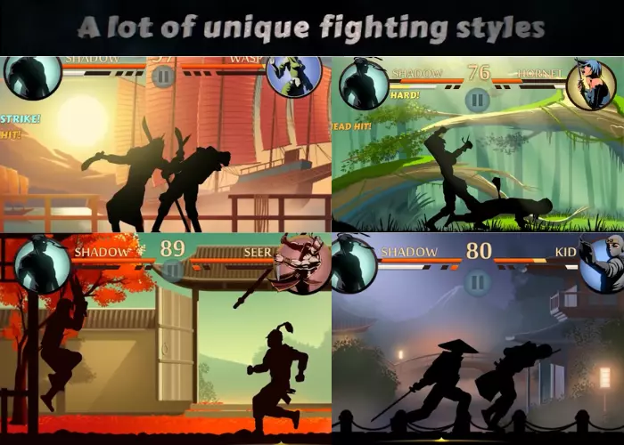 Unique Fighting styles in shadow fight