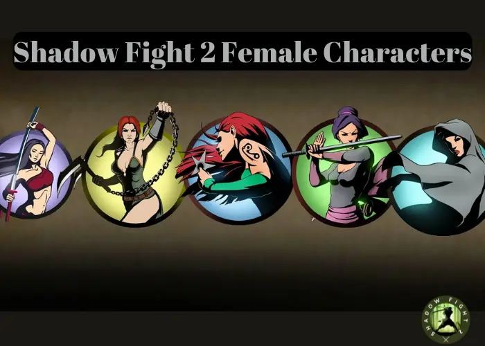 Shadow Fight 2 Female Characters