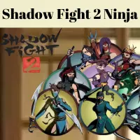 Shadow Fight 2 Ninja